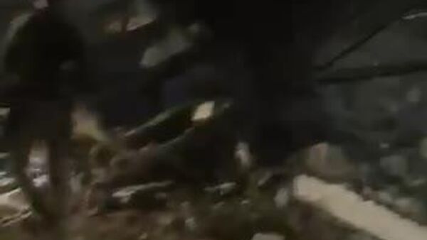 IDF will investigate Iron Dome failure in Dimona - Sputnik Africa