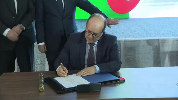 Algeria Launches Mining Operations at Zinc & Lead Deposits: Media - Sputnik Africa