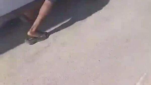 #viral | When Grass Matters: Watch Unusual Punishment for Breaking Ethiopia’s Green Laws - Sputnik Africa