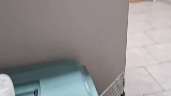 #viral | Stealth Mode Survival - Sputnik Africa