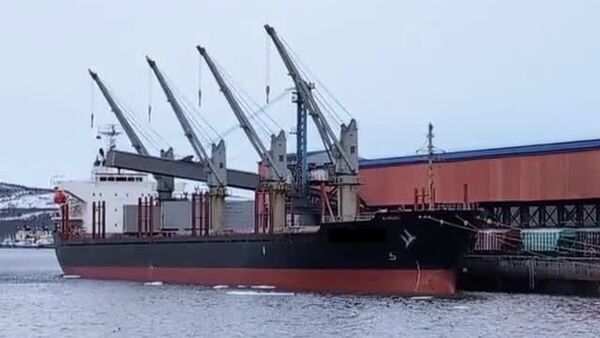 100 - Sputnik Afrique