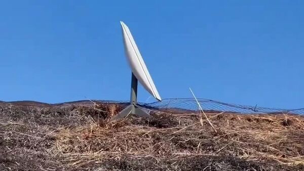 La Namibie refuse à Elon Musk une licence pour Starlink - Sputnik Afrique