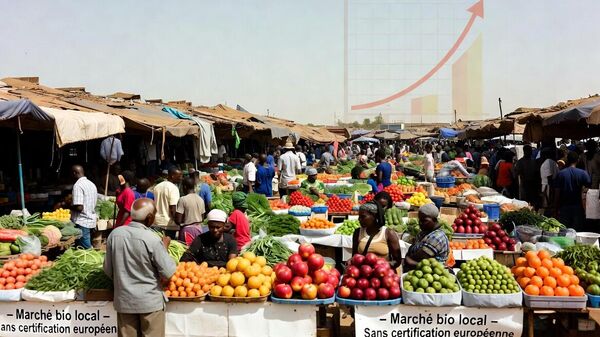 Filières biologiques africaines: le défi d’exister face aux standards européens - Sputnik Afrique