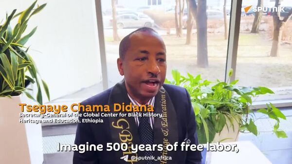 Impact of Centuries of Exploitation on Africa 'Immeasurable': SG of Global Center for Black History - Sputnik Africa