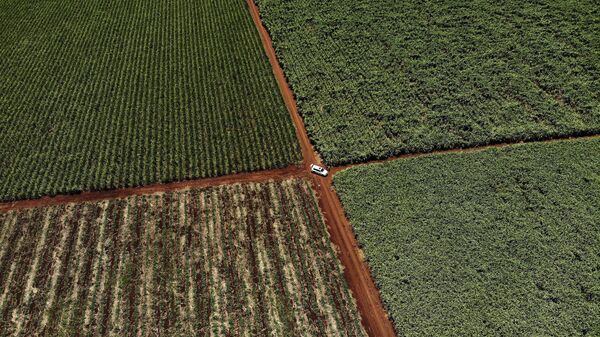 Initiatives Like Soros' Go Hand in Hand With 'Western Guidelines,' Says CEO of South African NGO - Sputnik Africa