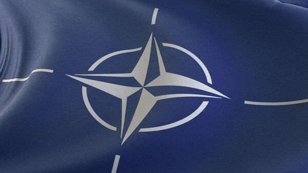  NATO members wouldn't withstand 1% of the sanctions Russia endures - MFA spox  - Sputnik Africa