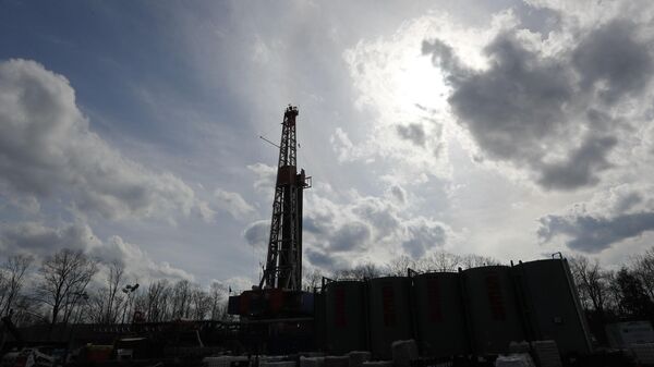 Africa Needs Collective Voice to Counter Exploitation, Says CEO of South African NGO - Sputnik Africa