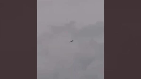 Un F-18 a été abattu dans le ciel iranien, affirment les Gardiens de la révolution - Sputnik Afrique