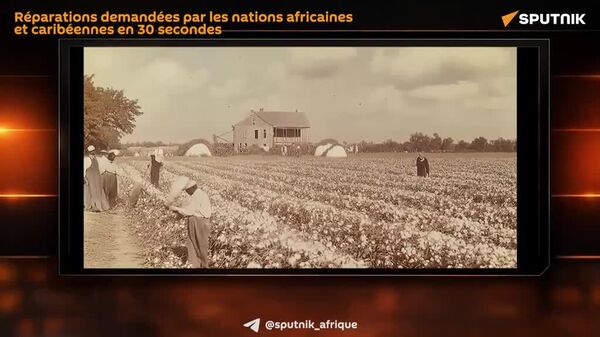 Réparations demandées par les nations africaines et caribéennes en 30 secondes - Sputnik Afrique