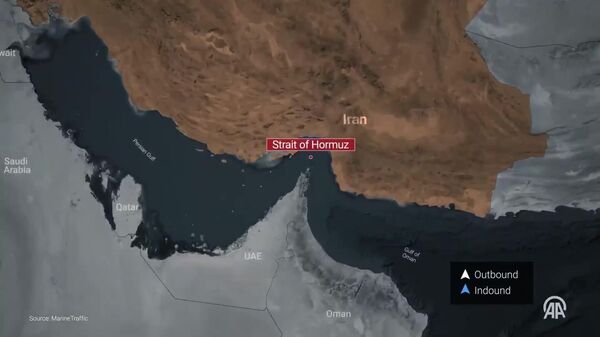 Anticiper les chocs: le Mali élabore un plan d’urgence face à la situation dans le détroit d’Ormuz - Sputnik Afrique