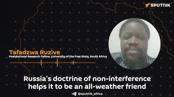 'Now is Good Opportunity to Strengthen Ties With Russia to Secure Africa's Food Security,' SA Scholar Says - Sputnik Africa