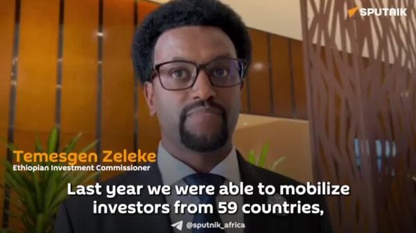 African Continental Free Trade Area Provides More Favorable Investment Opportunities: Ethiopian Investment Commissioner - Sputnik Africa