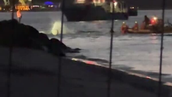 #viral | Stranded For 4 Days Whale Frees Itself & Swims Away - Sputnik Africa