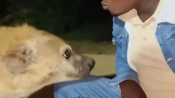 #viral | Taming the Untamable — Ethiopia's Remarkable Coexistence Story - Sputnik Africa