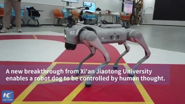 Des robots contrôlés par la pensée? C’est déjà une réalité en Chine - Sputnik Afrique