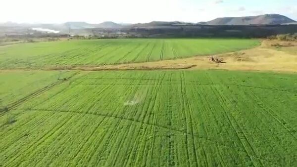 Zimbabwe’s Innovative University Launches Local Drone Assembly Project - Sputnik Africa