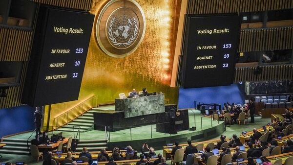 Certain Countries Rejected UN Resolution on Political & Historical Motivation: Brazilian Cultural Foundation - Sputnik Africa