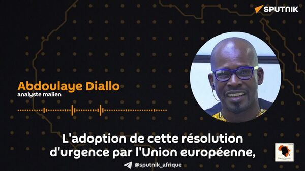 Un euro-député français ne peut dicter l’ordre du jour politique à Niamey: un analyste sur la résolution de l'UE sur Mohamed Bazoum - Sputnik Afrique