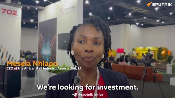 'Economic Development of Africa Will Be Led by Africans,' Says South African CEO - Sputnik Africa