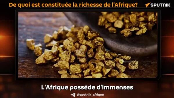 De quoi est constituée la richesse de l'Afrique? - Sputnik Afrique