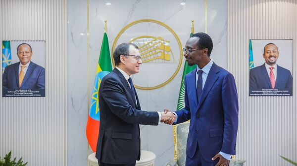 Ethiopia, Rosatom Discuss Nuclear Power Plant Project, Sign Strategic Roadmap, Says Ethiopian MFA - Sputnik Africa