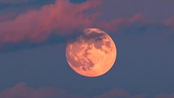 #viral |Pink Moon Lights Up the Sky, Captivating Stargazers Around the World - Sputnik Africa
