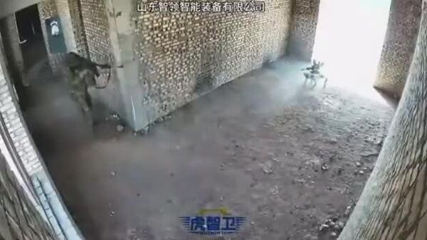 #viral | Urban Warfare Reimagined: China Deploys Armed Combat Robots - Sputnik Africa