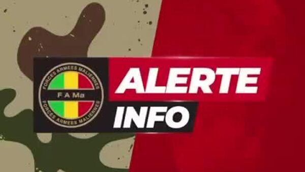 Coup de filet des FAMa: plusieurs terroristes tués dans un camp d’entraînement dans le centre du Mali - Sputnik Afrique