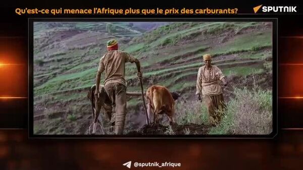 Au-delà du carburant: quel est le plus grand risque pour l’Afrique face à la crise du Moyen-Orient? - Sputnik Afrique