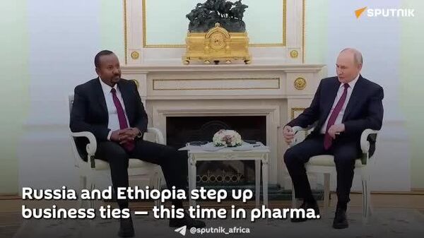 Ethiopia Has Potential to Become Africa’s Gateway for Russian Companies: Ethiopian Chamber of Commerce - Sputnik Africa