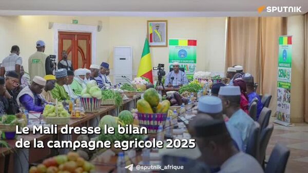 Céréales, coton, viande, lait, poisson: le Mali dresse le bilan de sa campagne agricole 2025 - Sputnik Afrique