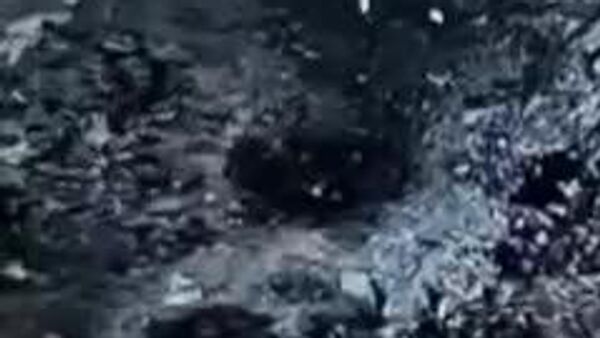 🪖 Why US pilot's rescue op far from 'success' - Sputnik Africa