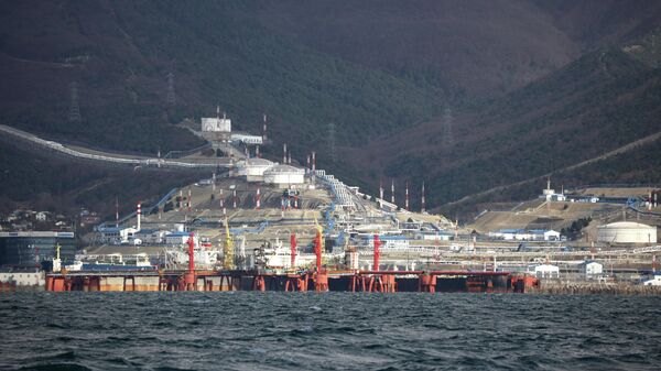 The Sheskharis oil transshipment terminal in the port of Novorossiysk. - Sputnik Africa