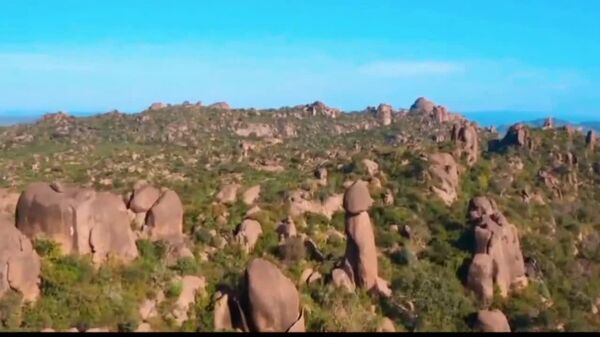 Ethiopia Plans to Launch Free Transit Visa for Stopover Passengers - Sputnik Africa