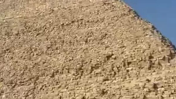 Les Égyptiens anciens n'avaient pas prévu ça: les chiens ont conquis les pyramides de Gizeh - Sputnik Afrique