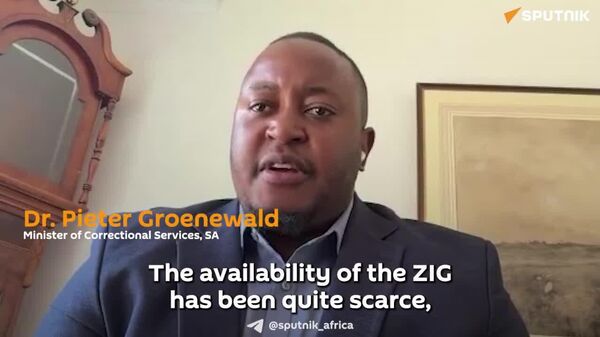 New ZiG Banknotes to Boost Currency Reach, Deepen Acceptability in Informal Sector: Economist - Sputnik Africa