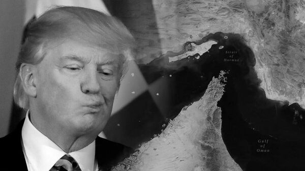 En face de la domination occidentale, la Russie, la Chine et l'Iran sont des puissances contestatrices  - Sputnik Afrique