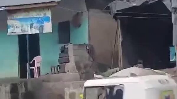 #viral | This Building Clearly Wasn't Jumping Cow-Proof - Sputnik Africa