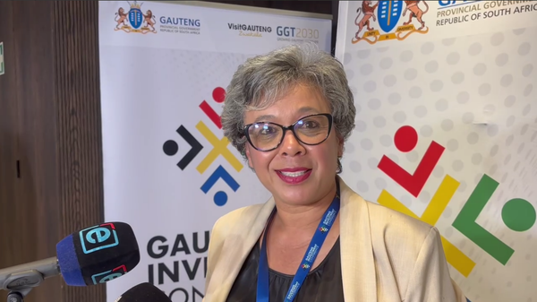 SA’s Transnet to Invest $33B Into Gauteng Infrastructure: CEO - Sputnik Africa