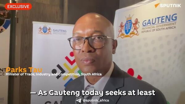 Gauteng Investment Conference 2026: Trade Minister Talks Cooperation With Provinces - Sputnik Africa