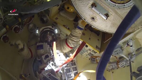 SA Intends to Develop Its Space Sector With Support of Russia: Space Agency CEO - Sputnik Africa