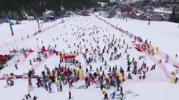 Quand une capybara descend la piste pour aller à un mariage: un festival frappe fort en Russie - Sputnik Afrique