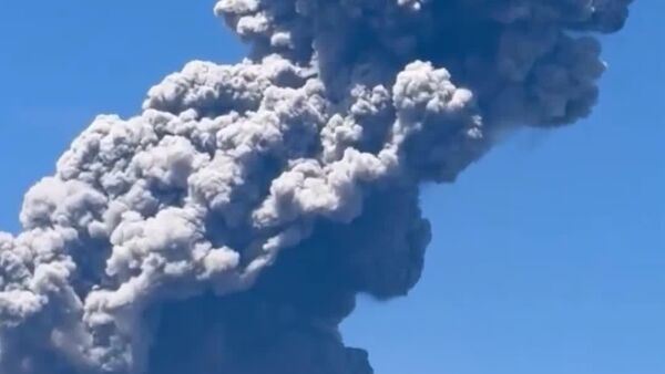 Coucou, je suis réveillé!: un volcan japonais entre en scène après 4 mois de silence - Sputnik Afrique