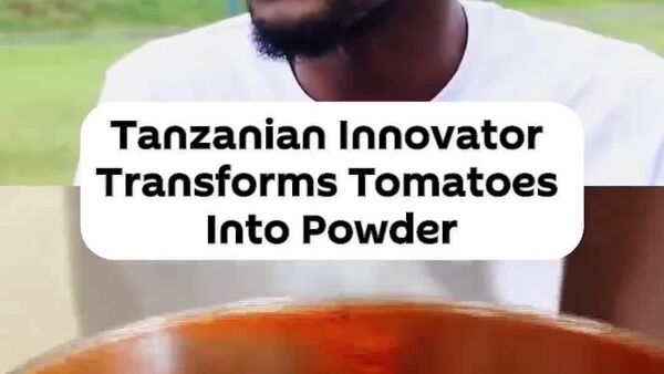 No More Spoilage: Tanzanian Innovator Dries Tomatoes Into Year-Long Supply - Sputnik Africa