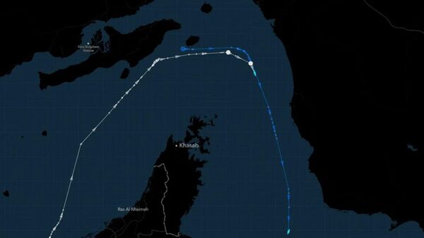 Un navire chinois passe par le détroit d'Ormuz  - Sputnik Afrique