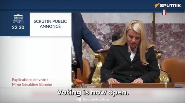 French Parliament Votes Unanimously for Restitution of African Heritage French Parliament Votes Unanimously for Restitution of African Heritage - Sputnik Africa