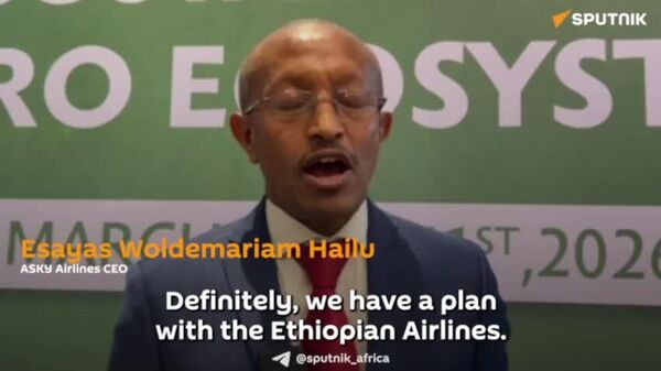 Ethiopia Plans Partnership With Togo in Field of Air Logistics Ethiopia Plans Partnership With Togo in Field of Air Logistics - Sputnik Africa