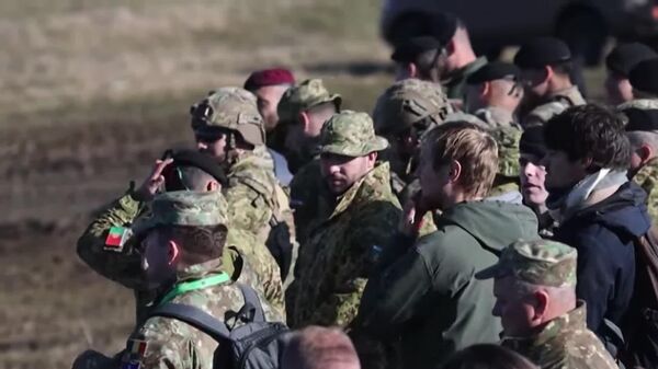 Confier la défense de l'Europe à l'Ukraine est absurde - un expert libanais - Sputnik Afrique