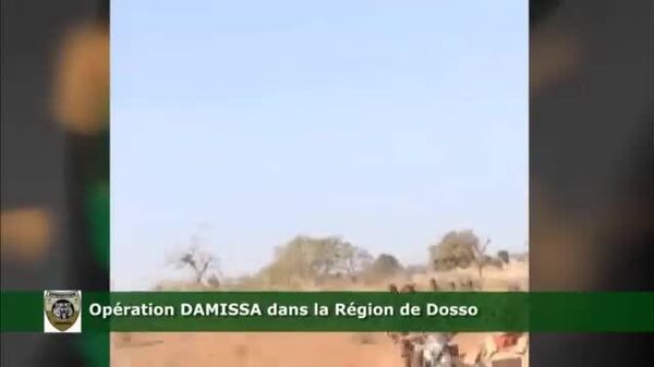 L'armée du Niger a anéanti une quinzaine de terroristes en une semaine - Sputnik Afrique