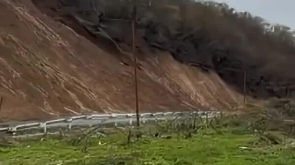 Avez-vous déjà vu un arbre surfer? - Sputnik Afrique